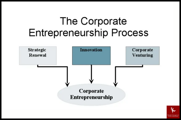 The Corporate Entrepreneurship Process