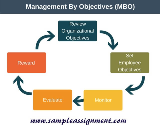 management assignment help