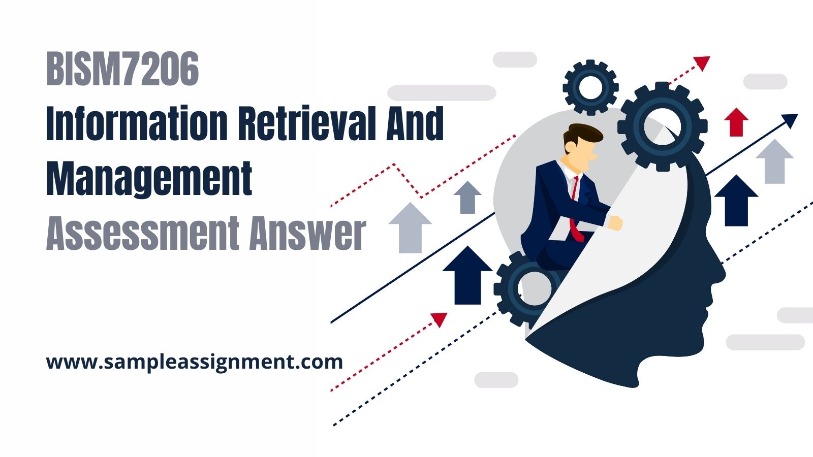 Get A Comprehensive BISM7206 Information Retrieval And Management Assessment Answer Here