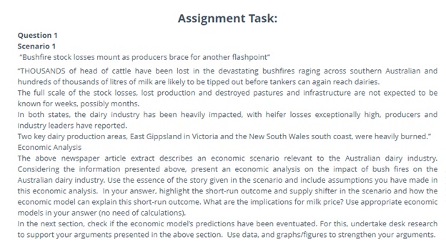 microeconomics assignment