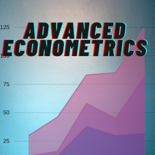 advanced econometrics assignment help