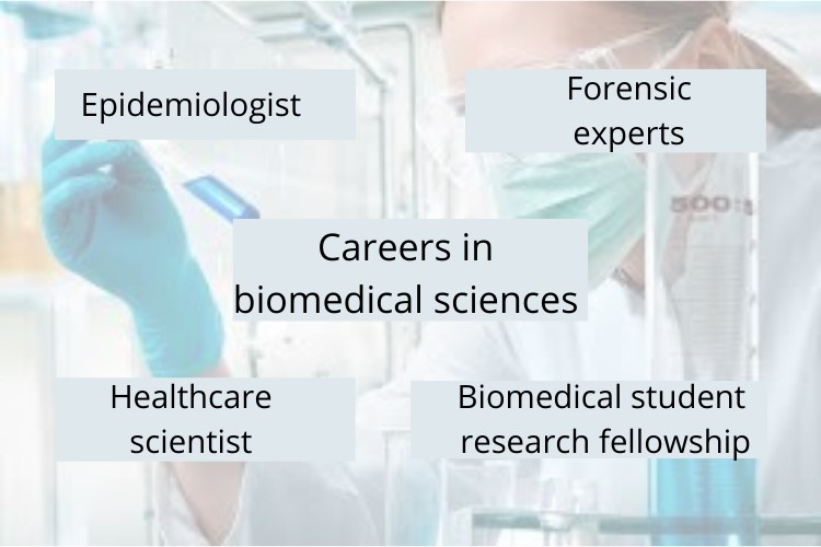 biomedical science assignment help