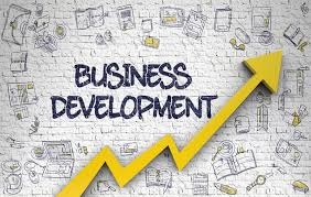 business development assignment help