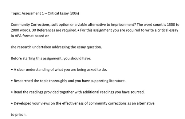 critical essay assignment