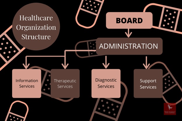 healthcare organization assignment