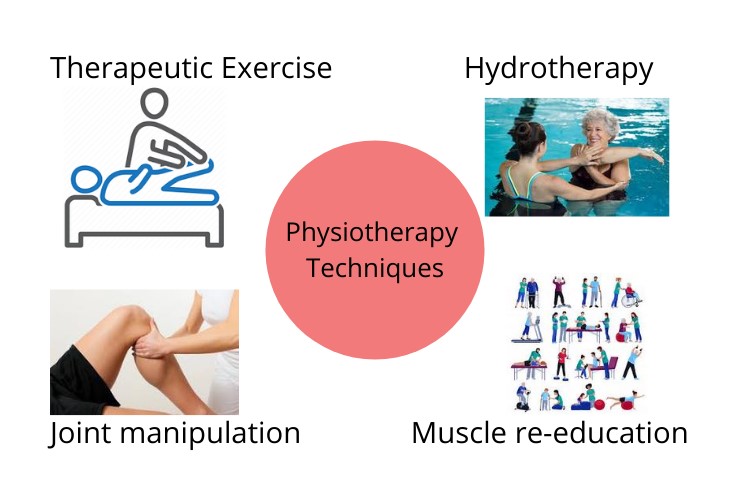 best-physiotherapy-assignment-help-online-with-upto-50-off