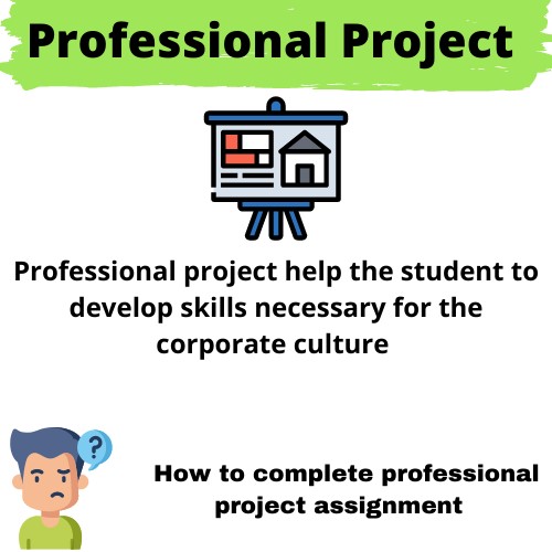 professional project assignment help