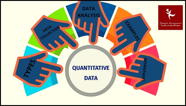 quantitative analysis assignment help