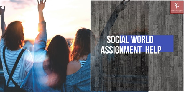 social world assignment help