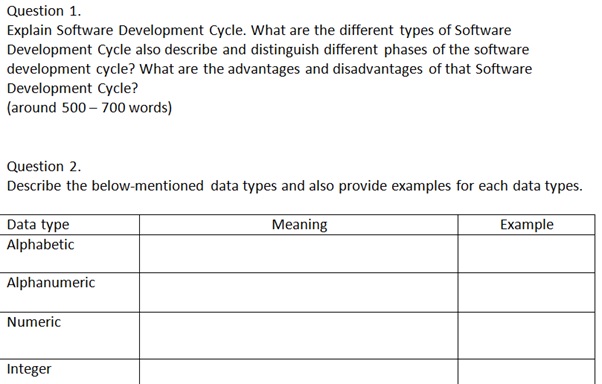 software development task