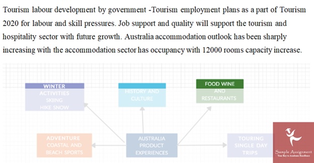 tourism project management assignment services