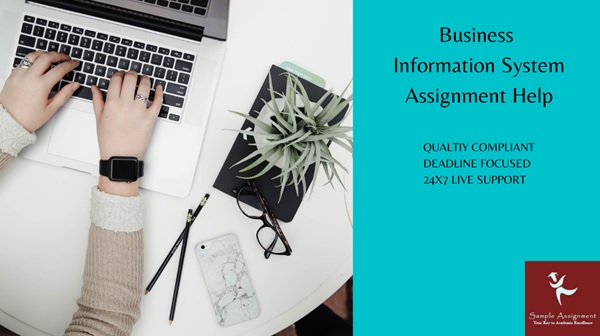 business information system assignment help