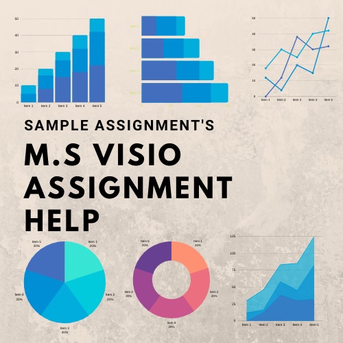 ms Visio assignment help