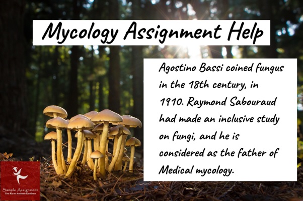 mycology assignment help