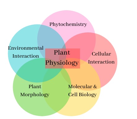 plan physiology