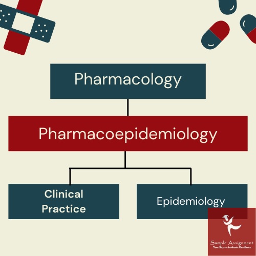 pharmacology personal statement UK