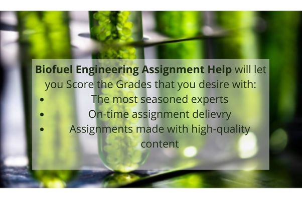 biofuel engineering assignment help