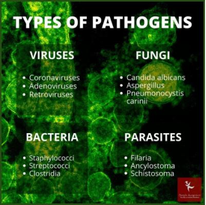 pathogen biology assignment