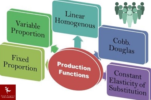 production functions online