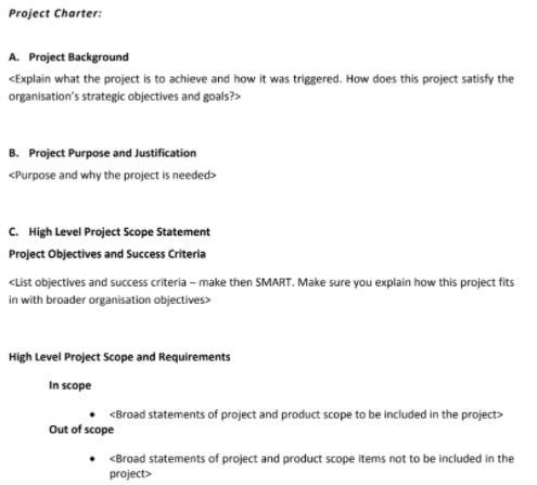 project charter assignment example