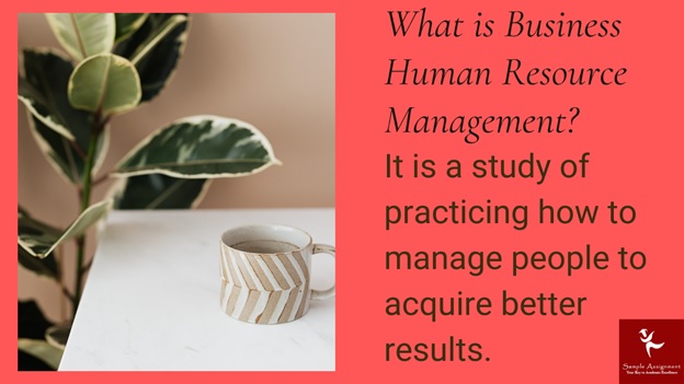 what is business human resource management