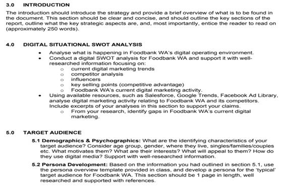 Digital Marketing Strategy Report Writing Question