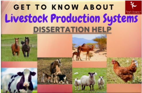 Livestock Production Systems Dissertation Help