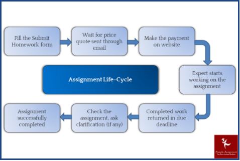 chemical engineering homework sample