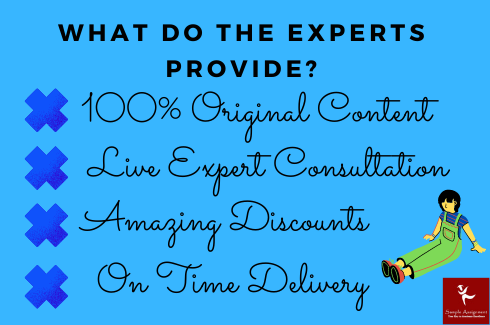 what do the expert provide