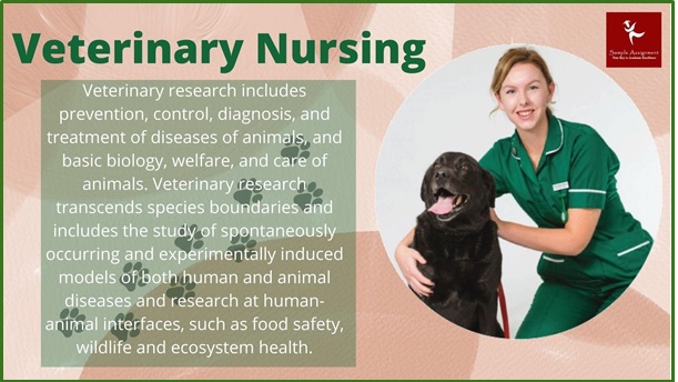 veterinary nursing homework help 