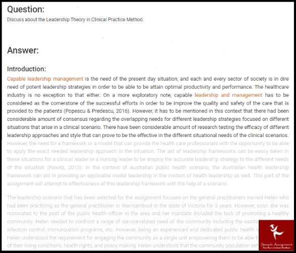 NURS5041 leadership for the clinical context assessment answer sample question