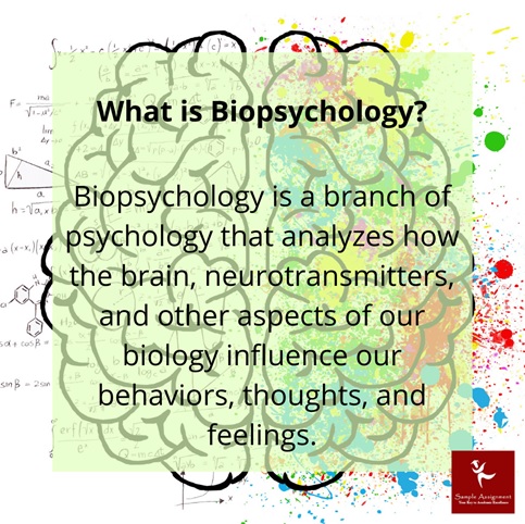 psy1210 biopsychology sensation perception