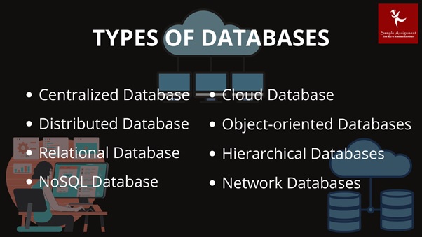 high school database management system assignment help