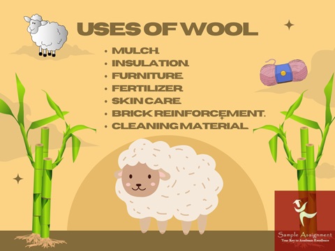 AHCWOL304 assessment answers