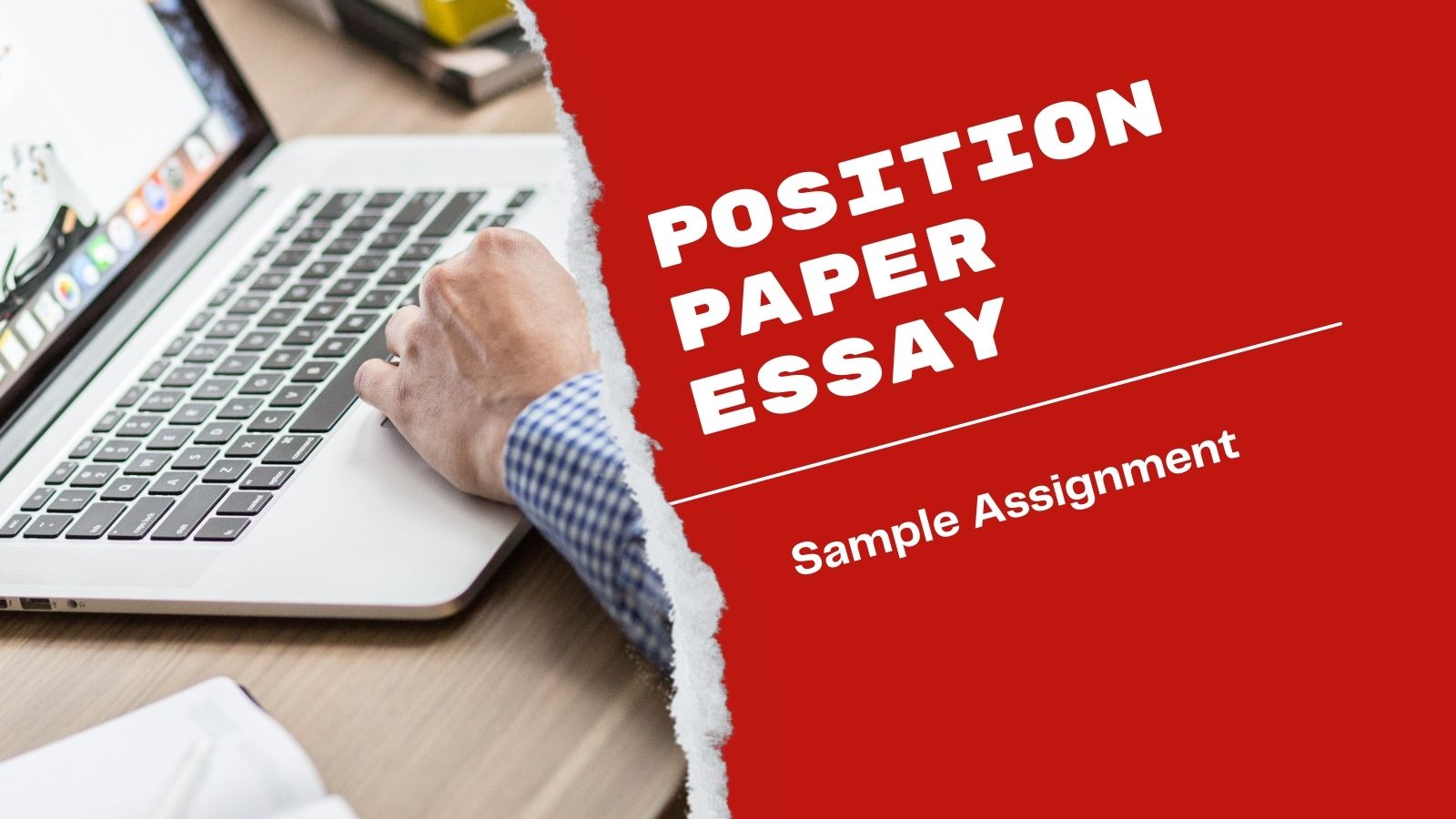 position paper