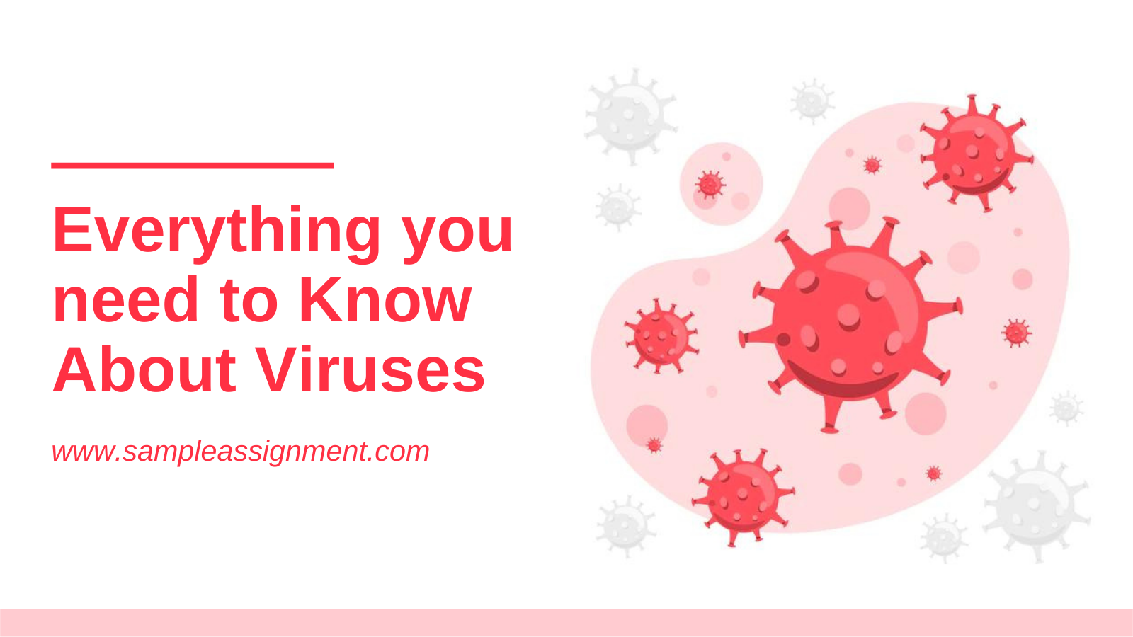 Everything you need to know about viruses