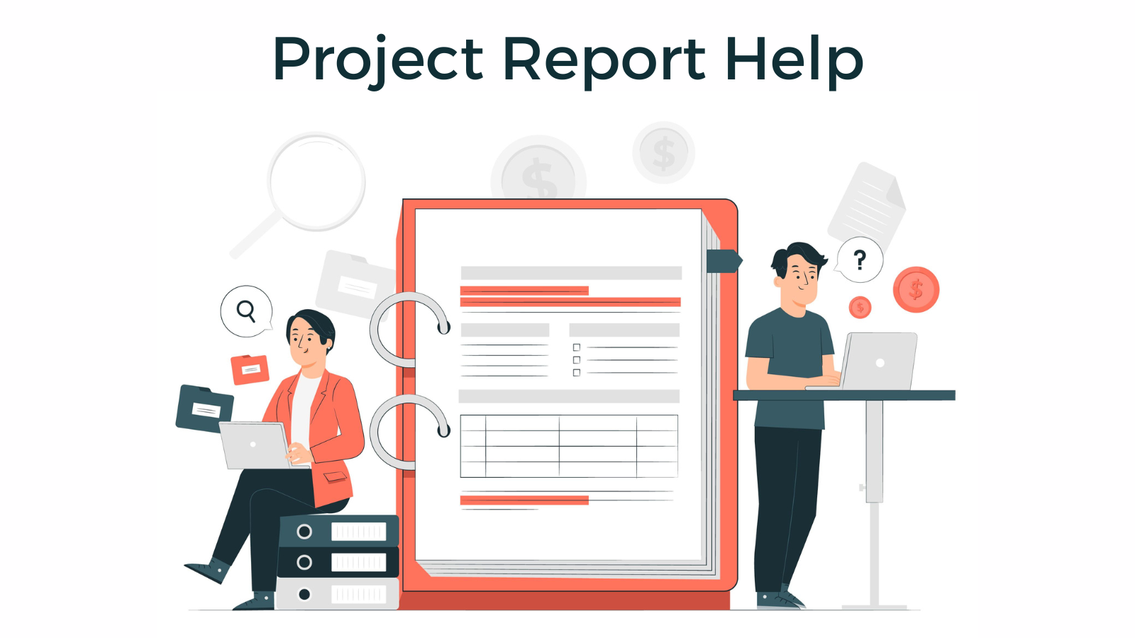 Project Report Help